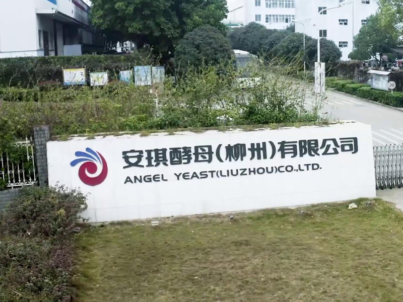 专访安琪酵母工厂AI叉车安全系统升级历程